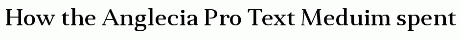 Anglecia Pro Text Meduim