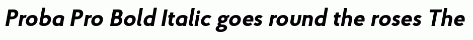Proba Pro Bold Italic