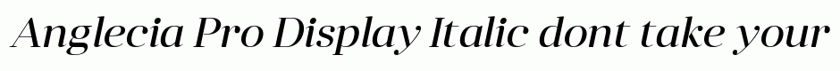 Anglecia Pro Display Italic