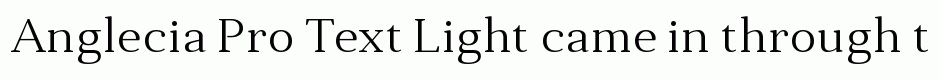 Anglecia Pro Text Light
