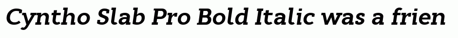 Cyntho Slab Pro Bold Italic