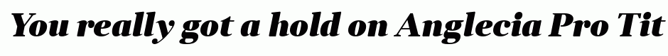 Anglecia Pro Title Black Italic
