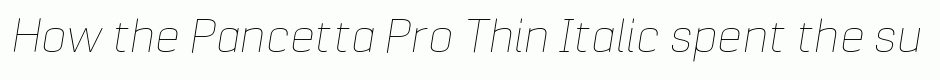Pancetta Pro Thin Italic