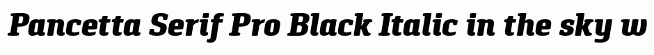 Pancetta Serif Pro Black Italic