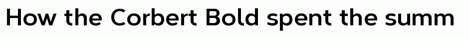 Corbert Bold