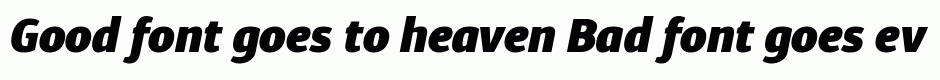 Diaria Sans Pro Black Italic