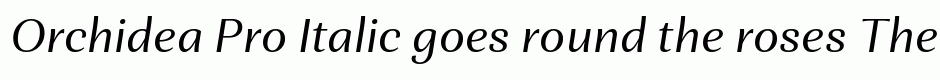 Orchidea Pro Italic