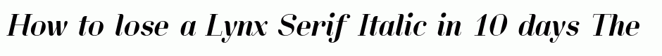 Lynx Serif Italic