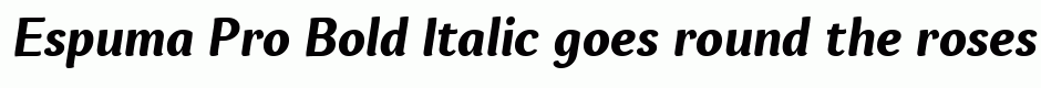 Espuma Pro Bold Italic