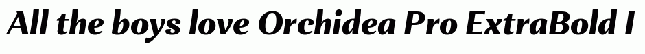 Orchidea Pro ExtraBold Italic