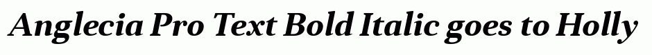 Anglecia Pro Text Bold Italic