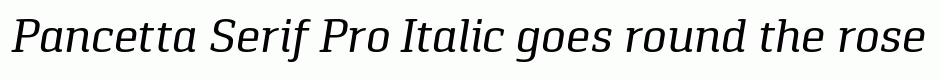 Pancetta Serif Pro Italic