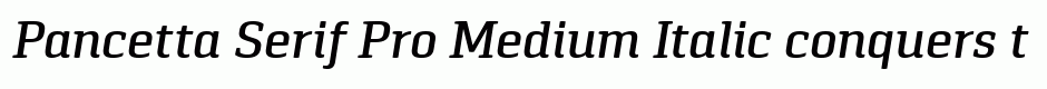 Pancetta Serif Pro Medium Italic