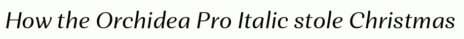 Orchidea Pro Italic