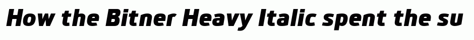 Bitner Heavy Italic