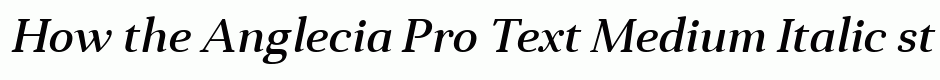 Anglecia Pro Text Medium Italic