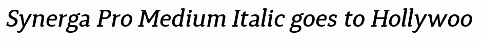 Synerga Pro Medium Italic