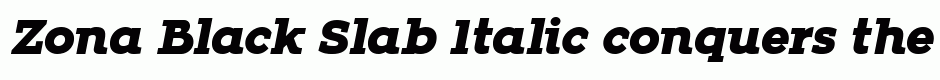 Zona Black Slab Italic