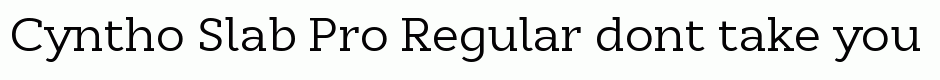 Cyntho Slab Pro Regular