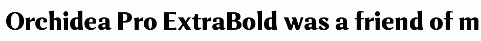 Orchidea Pro ExtraBold