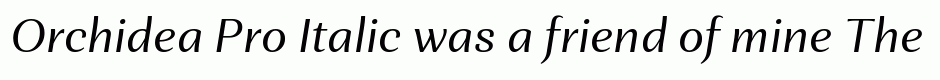 Orchidea Pro Italic