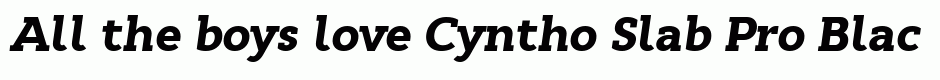 Cyntho Slab Pro Black Italic