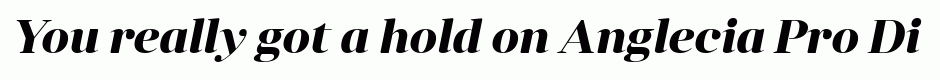 Anglecia Pro Display Bold Italic