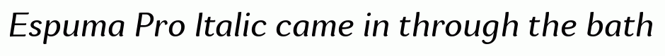 Espuma Pro Italic