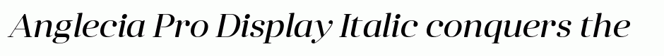Anglecia Pro Display Italic