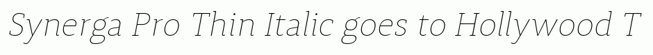 Synerga Pro Thin Italic