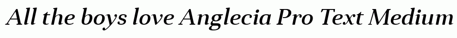 Anglecia Pro Text Medium Italic