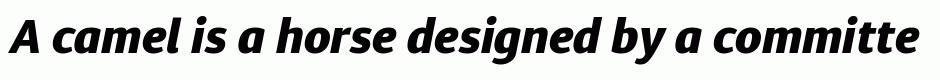 Diaria Sans Pro ExtraBold Italic