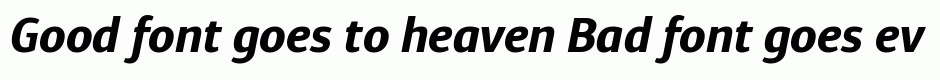 Diaria Sans Pro Bold Italic