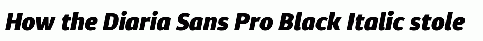 Diaria Sans Pro Black Italic