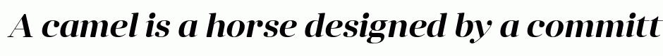 Anglecia Pro Display SemiBold Italic