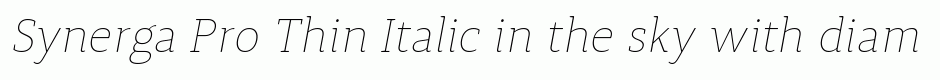 Synerga Pro Thin Italic