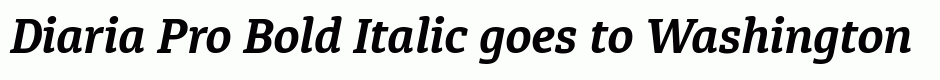 Diaria Pro Bold Italic