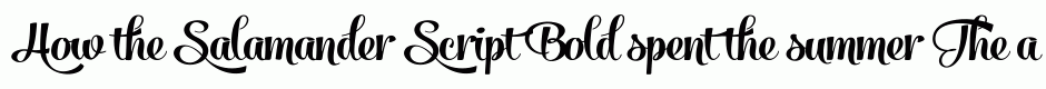 Salamander Script Bold