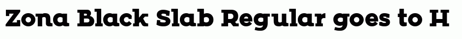 Zona Black Slab Regular