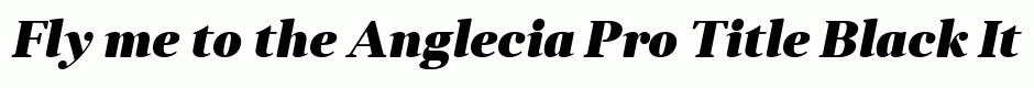 Anglecia Pro Title Black Italic