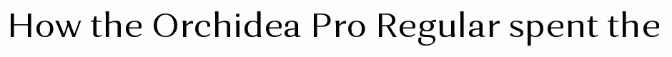 Orchidea Pro Regular