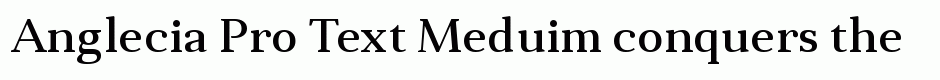 Anglecia Pro Text Meduim