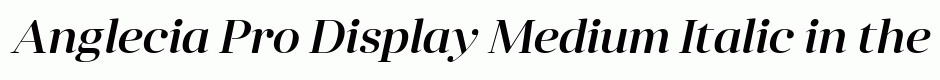 Anglecia Pro Display Medium Italic