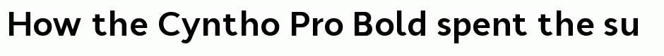 Cyntho Pro Bold