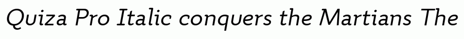 Quiza Pro Italic