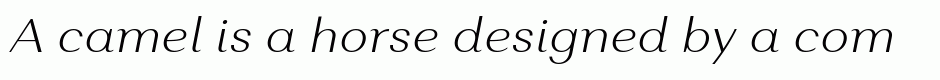 Alethia Pro ExtraLight Italic