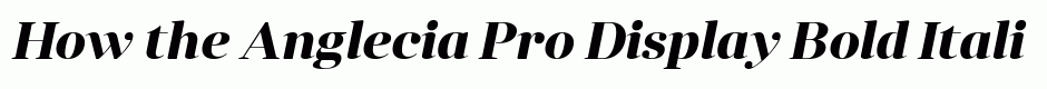 Anglecia Pro Display Bold Italic