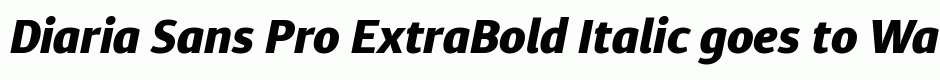 Diaria Sans Pro ExtraBold Italic