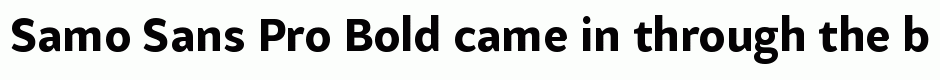 Samo Sans Pro Bold