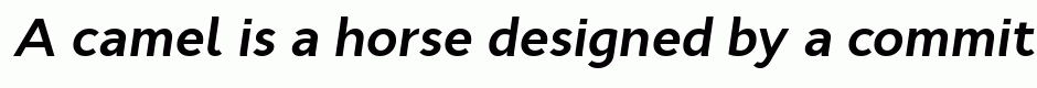 Cyntho Pro Bold Italic